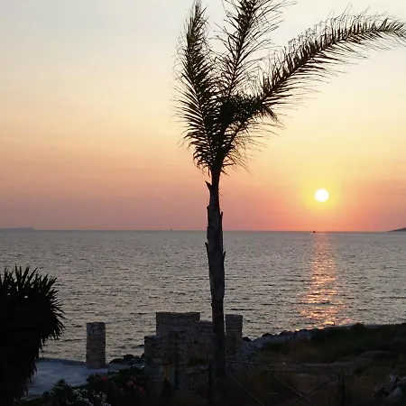 Palmera - Panorama ساراندا