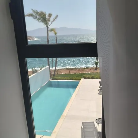 Palmera - Panorama ساراندا