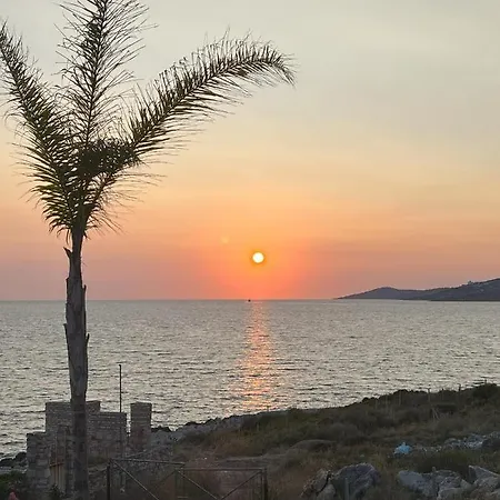 Palmera - Panorama Villa Sarande