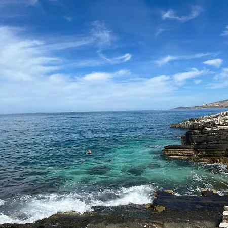 Palmera - Panorama