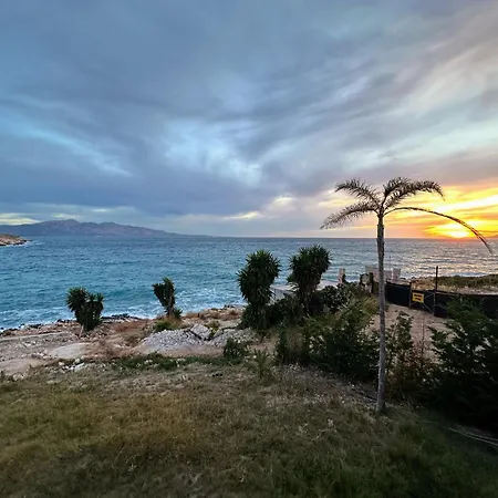 Palmera - Panorama *